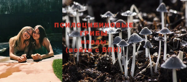 кристаллы Бородино