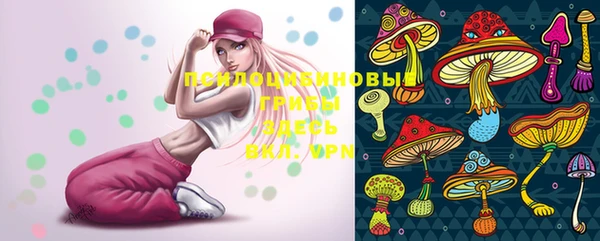 mix Белокуриха